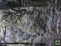 thn_NZ leden-unor 2006 302.jpg